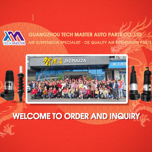 Çin Guangzhou Tech Master Auto Parts Co.Ltd 