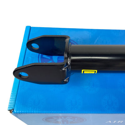 Bobin Yay Tesla 3 Model Y 104409200A Strut Assy RWD Pnömatik Strut