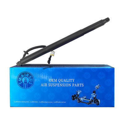 Dayanıklı güç arka kapı destek 51247318651 BMW X6 F16 2015-2019 için Sol 1 fiş