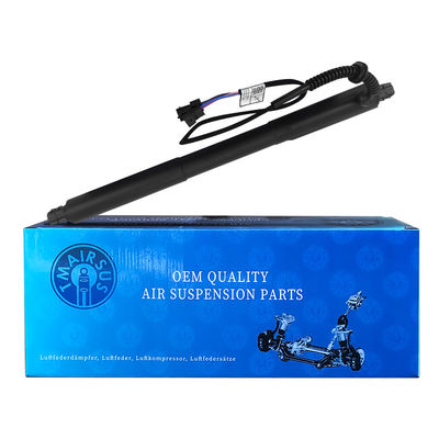 OEM BMW X5 E70 E70 LCI 2007-2013 LH OE 51247332695 için arka güç asansör kapısı
