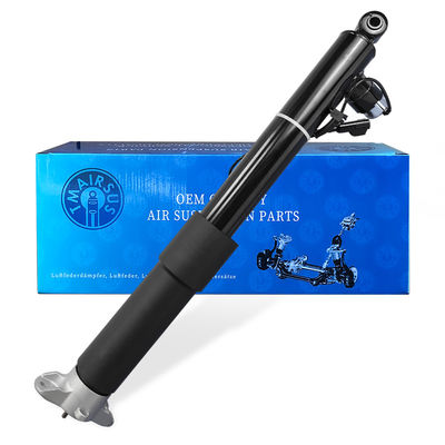 10 KG Araç Arka Şok emici ASH24591