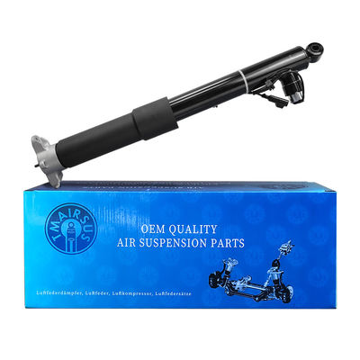 10 KG Araç Arka Şok emici ASH24591