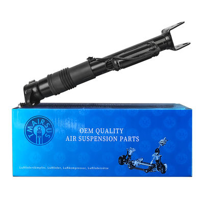 2513202231 Ayarlanabilir Mercedes-Benz Havalı Süspansiyon W251/R300 Arka