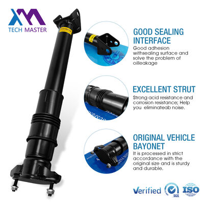 Mercedes-Benz W251/R300 Arka Hava Süspansiyonu için Hava Şok Emici 2513202231 2513200730