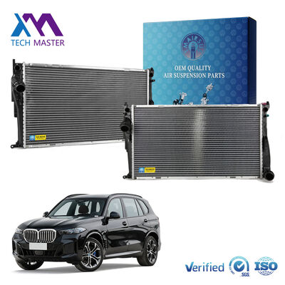 17117547059 BMW E92 335 ve BMW X1 için radyatör TM ((1)