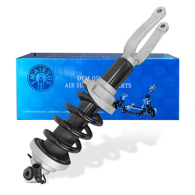 Yeni Teknoloji Master Hava süspansiyonu Strut Audi R8 Arka Şok emici 4S0412019/4S0412020
