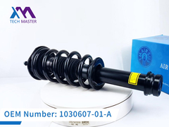 Teknik Usta Tesla Model S Ön Şok emici 1030607-01-A