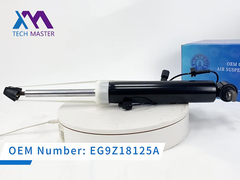 Tech Master Lincoln MKZ ADS EG9Z18125A ile sağ arka şok emici