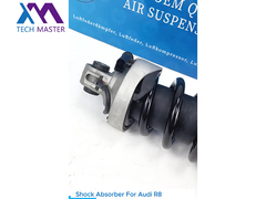 Audi R8 için TMAIRSUS Şok emici