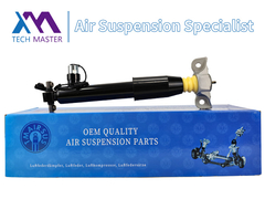 Teknoloji Üstatı Lincoln MKX F2GZ18125Z için arka sol şok emici destek