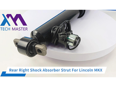 Tech Master Lincoln MKX F2GZ18125G için arka sağ şok emici destek