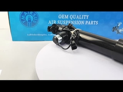 Tech Master TMAIRSUS Lincoln MKZ DG9Z18125A için arka sağ şok emici