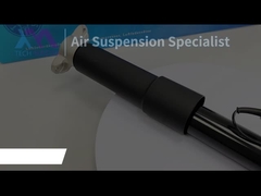 TMAIRSUS Lincoln MKC EJ7Z18125G için arka sol şok emici