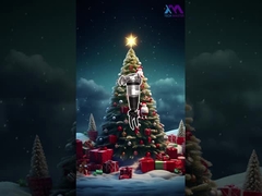 Teknoloji Üstatından Mutlu Noeller.