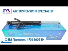 Tech Master TMAIRSUS Audi A6L/C6 4F0616031H için Arka Sol Strut Şok emici
