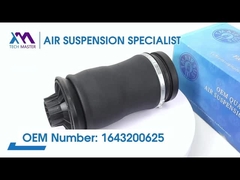 Tech Master TMAIRSUS Arka Hava Yayı Mercedes-Benz W164/ML350 ML500 için 1643200625