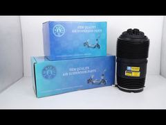 Porsche Panamera 971 Bentley Flying Spur Continental G için Tech Master TMAIRSUS Arka Sol Hava Yayı