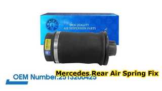Mercedes-Benz W251/R350 R500 Arka Hava Yayı